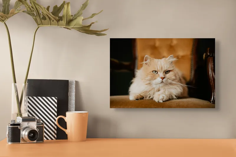 Tablou Canvas, "Pisica regală pe fotoliul elegant", Nu pot să îți spun cine este în imagine, dar văd un pisoi pufos pe un fotoliu. Cum te pot ajuta mai departe?, 39 x 26 cm – poza 3