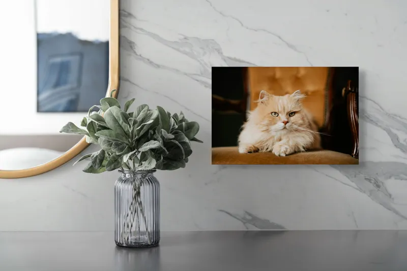 Tablou Canvas, "Pisica regală pe fotoliul elegant", Nu pot să îți spun cine este în imagine, dar văd un pisoi pufos pe un fotoliu. Cum te pot ajuta mai departe?, 39 x 26 cm – poza 5