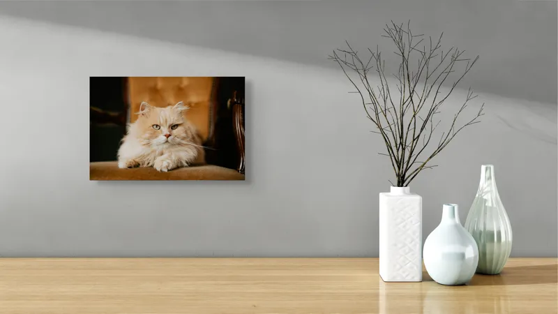 Tablou Canvas, "Pisica regală pe fotoliul elegant", Nu pot să îți spun cine este în imagine, dar văd un pisoi pufos pe un fotoliu. Cum te pot ajuta mai departe?, 39 x 26 cm – poza 8