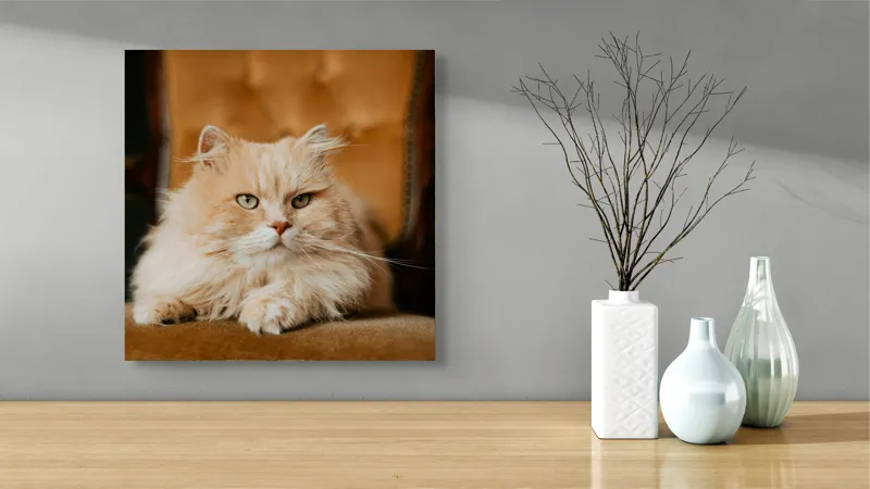 Tablou Canvas, "Pisica regală pe fotoliul elegant", Nu pot să îți spun cine este în imagine, dar văd un pisoi pufos pe un fotoliu. Cum te pot ajuta mai departe?, 50 x 50 cm – poza 3