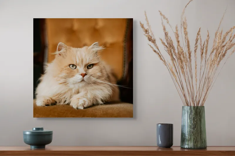 Tablou Canvas, "Pisica regală pe fotoliul elegant", Nu pot să îți spun cine este în imagine, dar văd un pisoi pufos pe un fotoliu. Cum te pot ajuta mai departe?, 50 x 50 cm – poza 4