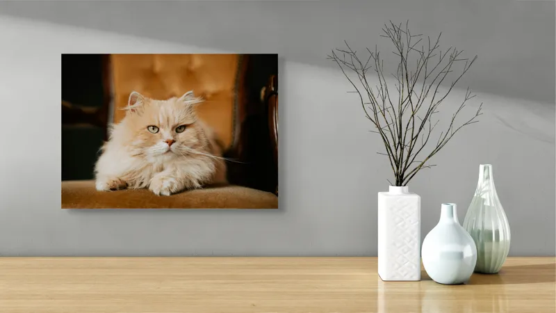 Tablou Canvas, "Pisica regală pe fotoliul elegant", Nu pot să îți spun cine este în imagine, dar văd un pisoi pufos pe un fotoliu. Cum te pot ajuta mai departe?, 54 x 39 cm – poza 3