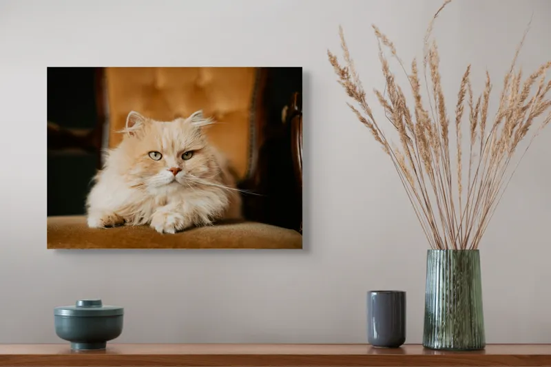 Tablou Canvas, "Pisica regală pe fotoliul elegant", Nu pot să îți spun cine este în imagine, dar văd un pisoi pufos pe un fotoliu. Cum te pot ajuta mai departe?, 54 x 39 cm – poza 4