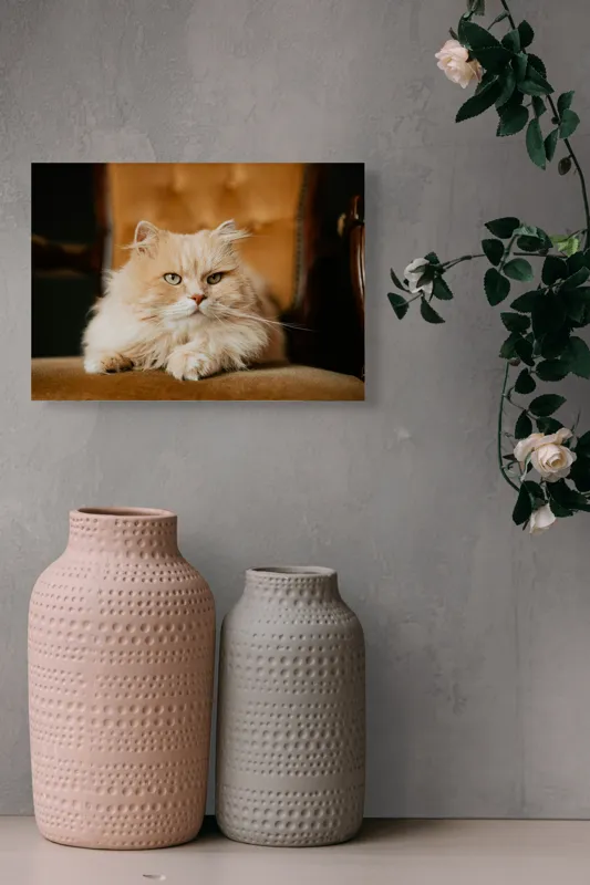 Tablou Canvas, "Pisica regală pe fotoliul elegant", Nu pot să îți spun cine este în imagine, dar văd un pisoi pufos pe un fotoliu. Cum te pot ajuta mai departe?, 54 x 39 cm – poza 8