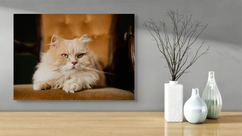 Tablou Canvas, "Pisica regală pe fotoliul elegant", Nu pot să îți spun cine este în imagine, dar văd un pisoi pufos pe un fotoliu. Cum te pot ajuta mai departe?, 70 x 50 cm – poza 3