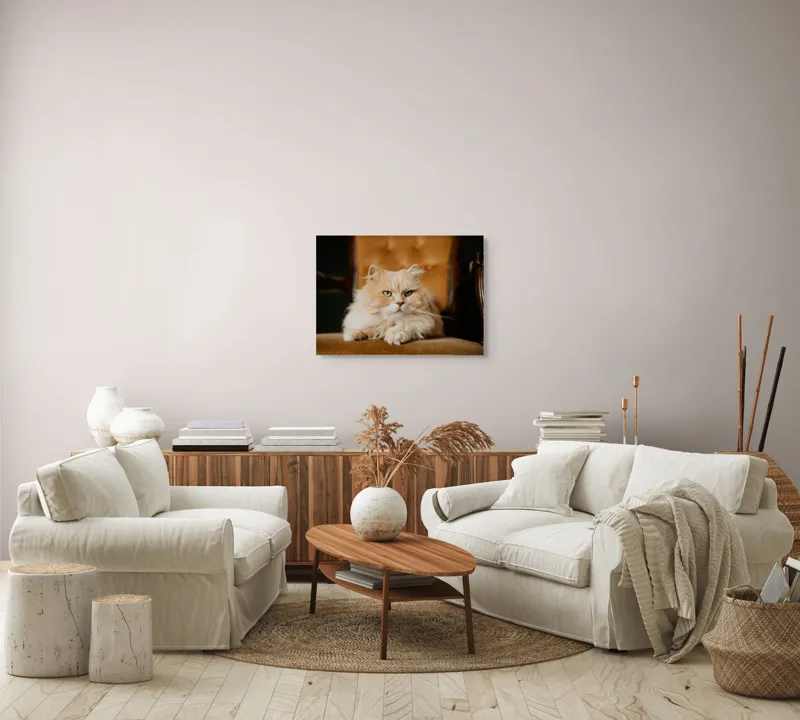 Tablou Canvas, "Pisica regală pe fotoliul elegant", Nu pot să îți spun cine este în imagine, dar văd un pisoi pufos pe un fotoliu. Cum te pot ajuta mai departe?, 70 x 50 cm – poza 6