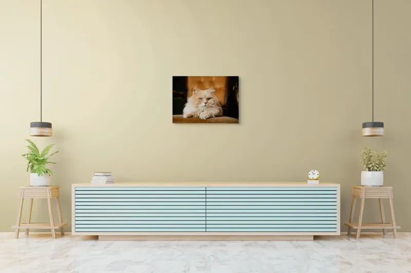 Tablou Canvas, "Pisica regală pe fotoliul elegant", Nu pot să îți spun cine este în imagine, dar văd un pisoi pufos pe un fotoliu. Cum te pot ajuta mai departe?, 70 x 50 cm – poza 7