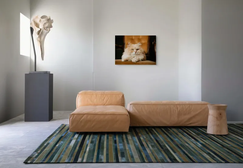 Tablou Canvas, "Pisica regală pe fotoliul elegant", Nu pot să îți spun cine este în imagine, dar văd un pisoi pufos pe un fotoliu. Cum te pot ajuta mai departe?, 70 x 50 cm – poza 8