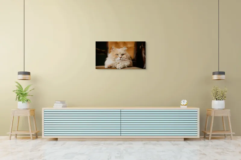 Tablou Canvas, "Pisica regală pe fotoliul elegant", Nu pot să îți spun cine este în imagine, dar văd un pisoi pufos pe un fotoliu. Cum te pot ajuta mai departe?, 90 x 50 cm – poza 5
