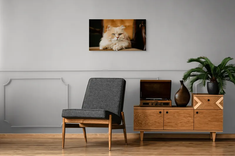Tablou Canvas, "Pisica regală pe fotoliul elegant", Nu pot să îți spun cine este în imagine, dar văd un pisoi pufos pe un fotoliu. Cum te pot ajuta mai departe?, 90 x 50 cm – poza 6