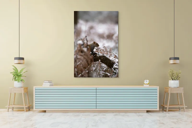 Tablou Canvas, "Veverița explorând pădurea înzăpezită", Veveriță, Zapadă, Pădure, Crenguțe, Frunze, Trunchi, Natură, Iarnă, Contrast, Blană, 100 x 150 cm – poza 4