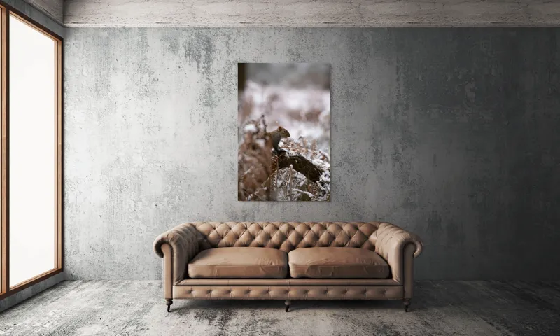 Tablou Canvas, "Veverița explorând pădurea înzăpezită", Veveriță, Zapadă, Pădure, Crenguțe, Frunze, Trunchi, Natură, Iarnă, Contrast, Blană, 100 x 150 cm – poza 6