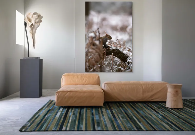 Tablou Canvas, "Veverița explorând pădurea înzăpezită", Veveriță, Zapadă, Pădure, Crenguțe, Frunze, Trunchi, Natură, Iarnă, Contrast, Blană, 100 x 150 cm – poza 7