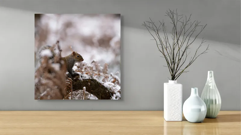 Tablou Canvas, "Veverița explorând pădurea înzăpezită", Veveriță, Zapadă, Pădure, Crenguțe, Frunze, Trunchi, Natură, Iarnă, Contrast, Blană, 50 x 50 cm – poza 3