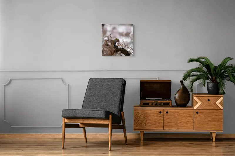 Tablou Canvas, "Veverița explorând pădurea înzăpezită", Veveriță, Zapadă, Pădure, Crenguțe, Frunze, Trunchi, Natură, Iarnă, Contrast, Blană, 50 x 50 cm – poza 6