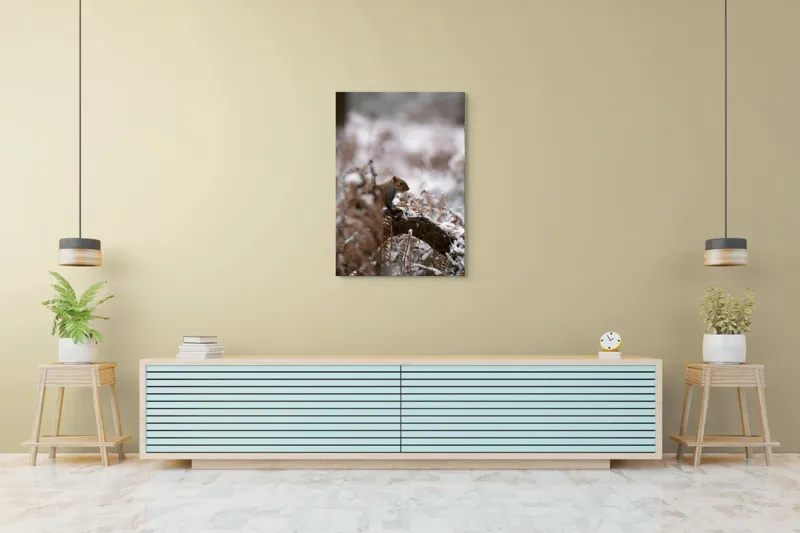 Tablou Canvas, "Veverița explorând pădurea înzăpezită", Veveriță, Zapadă, Pădure, Crenguțe, Frunze, Trunchi, Natură, Iarnă, Contrast, Blană, 70 x 100 cm – poza 5