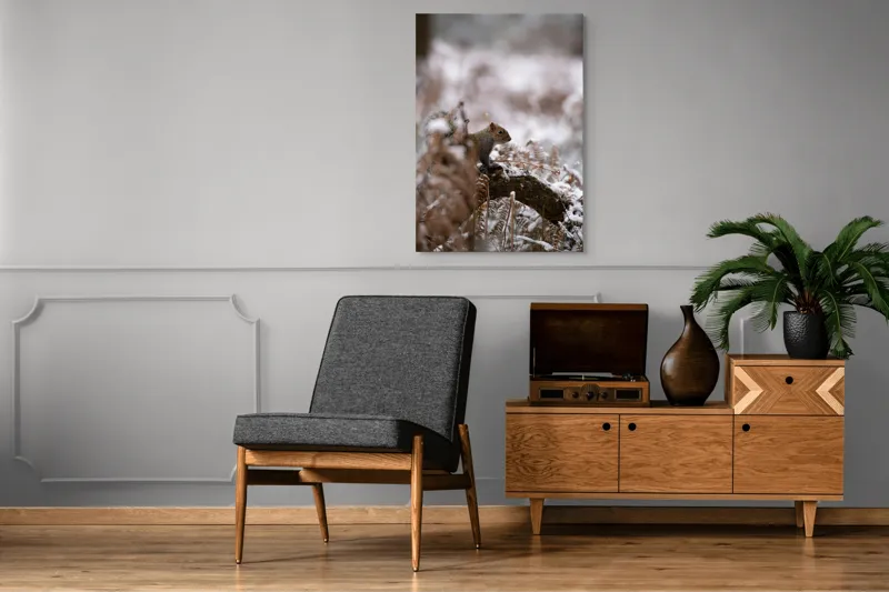 Tablou Canvas, "Veverița explorând pădurea înzăpezită", Veveriță, Zapadă, Pădure, Crenguțe, Frunze, Trunchi, Natură, Iarnă, Contrast, Blană, 70 x 100 cm – poza 6
