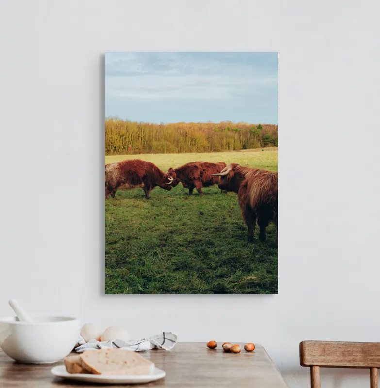 Tablou Canvas, "Taurii în pășunea de dimineață", I don't know., 50 x 70 cm – poza 3