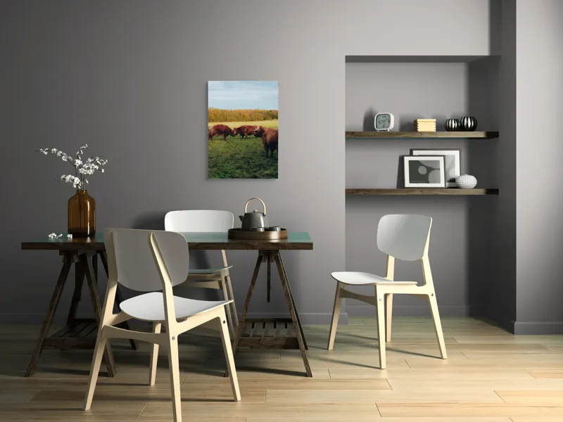 Tablou Canvas, "Taurii în pășunea de dimineață", I don't know., 50 x 70 cm – poza 5