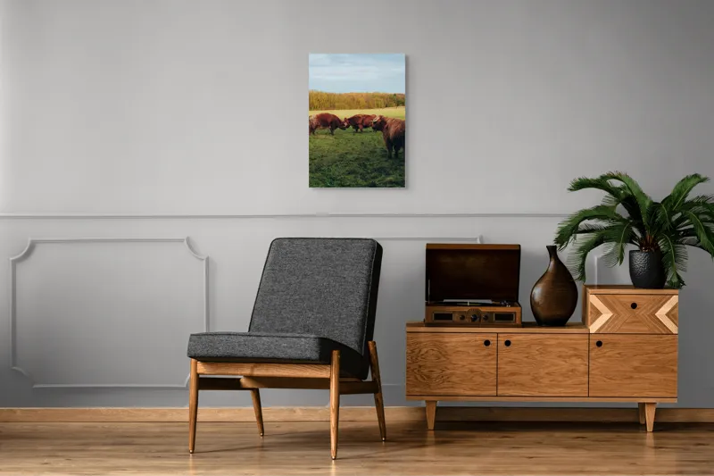 Tablou Canvas, "Taurii în pășunea de dimineață", I don't know., 50 x 70 cm – poza 8
