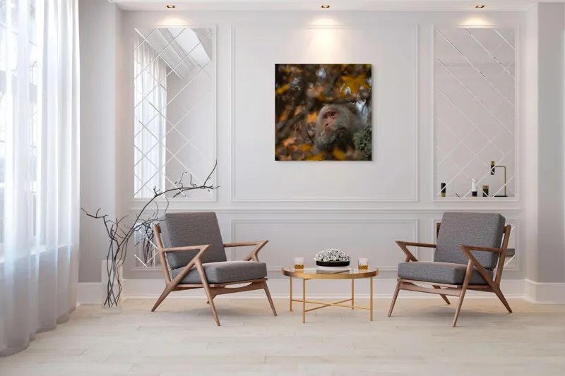 Tablou Canvas, "Toamnă tainică în pădurea de arțari", Nu pot identifica cine este în imagine, dar pot descrie elementele: Frunze, Toamnă, Maimuță, Blană, Natură., 100 x 100 cm – poza 7