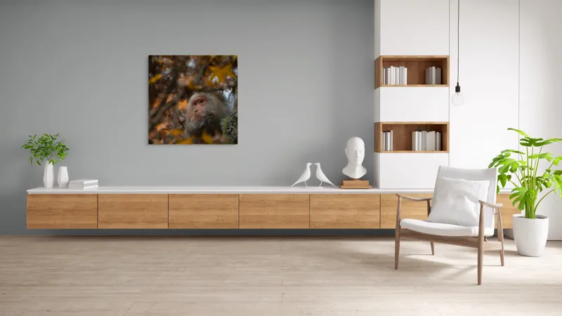 Tablou Canvas, "Toamnă tainică în pădurea de arțari", Nu pot identifica cine este în imagine, dar pot descrie elementele: Frunze, Toamnă, Maimuță, Blană, Natură., 100 x 100 cm – poza 8