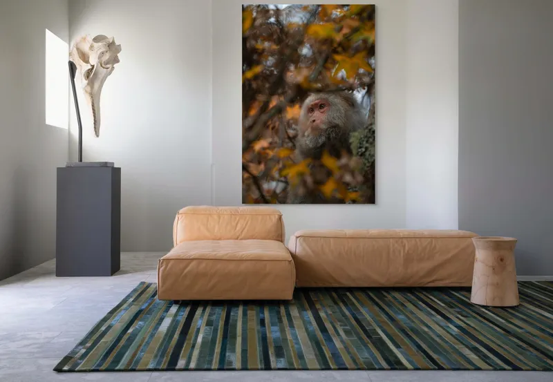 Tablou Canvas, "Toamnă tainică în pădurea de arțari", 100 x 150 cm – poza 7