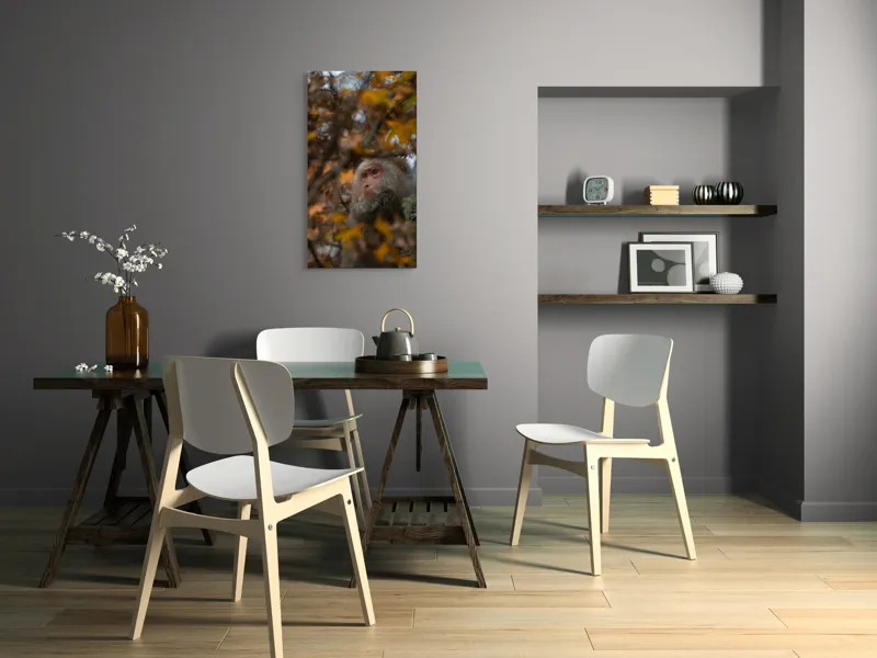 Tablou Canvas, "Toamnă tainică în pădurea de arțari", Nu pot identifica cine este în imagine, dar pot descrie elementele: Frunze, Toamnă, Maimuță, Blană, Natură., 50 x 90 cm – poza 4