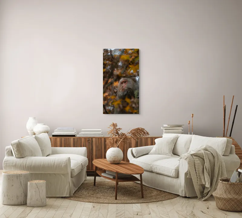 Tablou Canvas, "Toamnă tainică în pădurea de arțari", Nu pot identifica cine este în imagine, dar pot descrie elementele: Frunze, Toamnă, Maimuță, Blană, Natură., 50 x 90 cm – poza 7