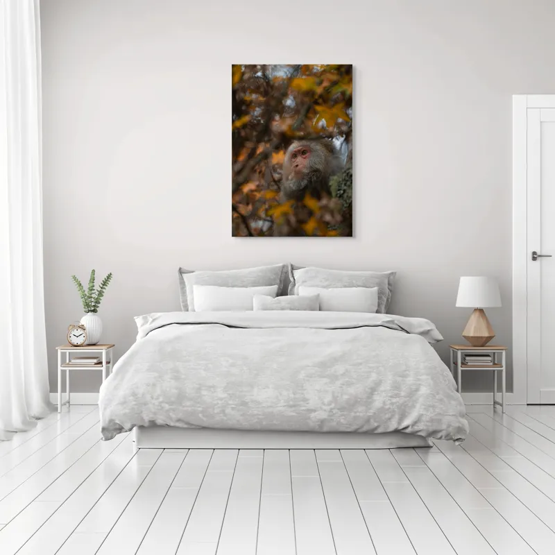 Tablou Canvas, "Toamnă tainică în pădurea de arțari", Nu pot identifica cine este în imagine, dar pot descrie elementele: Frunze, Toamnă, Maimuță, Blană, Natură., 70 x 100 cm – poza 3