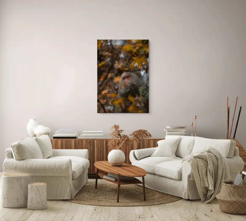 Tablou Canvas, "Toamnă tainică în pădurea de arțari", Nu pot identifica cine este în imagine, dar pot descrie elementele: Frunze, Toamnă, Maimuță, Blană, Natură., 70 x 100 cm – poza 4