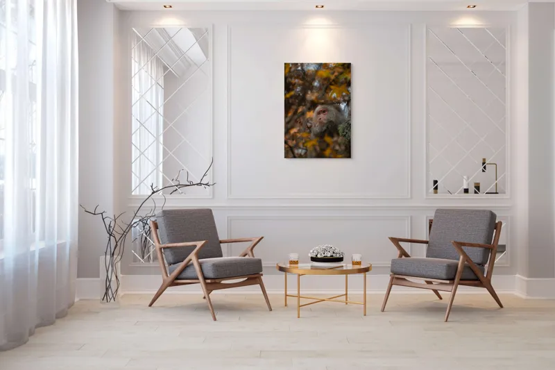 Tablou Canvas, "Toamnă tainică în pădurea de arțari", Nu pot identifica cine este în imagine, dar pot descrie elementele: Frunze, Toamnă, Maimuță, Blană, Natură., 70 x 100 cm – poza 8