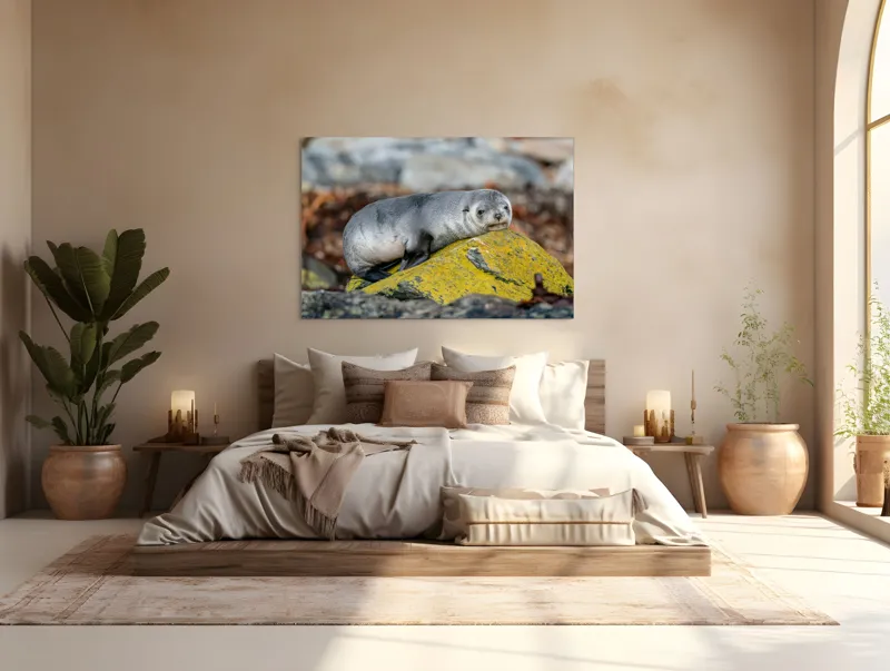 Tablou Canvas, "Pui de focă odihnindu-se pe piatră", Seal, Rock, Resting, Relaxed, Nature, Wildlife, Grey, Yellow, Contemplative, 150 x 100 cm – poza 4