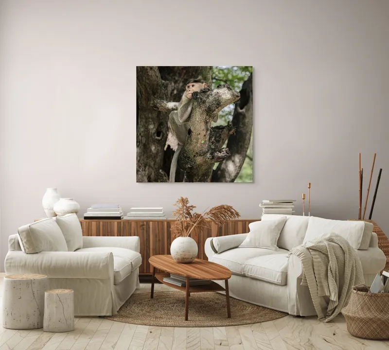 Tablou Canvas, "I don't know.", Maimuță, Copac, Ramificație, Frunze, Observare, Natură, Blană, Atmosferă, Echilibru, 100 x 100 cm – poza 3