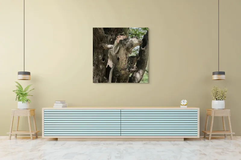 Tablou Canvas, "I don't know.", Maimuță, Copac, Ramificație, Frunze, Observare, Natură, Blană, Atmosferă, Echilibru, 100 x 100 cm – poza 5