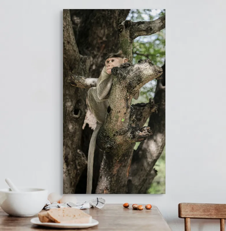Tablou Canvas, "I don't know.", Maimuță, Copac, Ramificație, Frunze, Observare, Natură, Blană, Atmosferă, Echilibru, 50 x 90 cm – poza 3