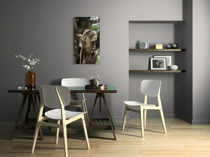 Tablou Canvas, "I don't know.", Maimuță, Copac, Ramificație, Frunze, Observare, Natură, Blană, Atmosferă, Echilibru, 50 x 90 cm – poza 4