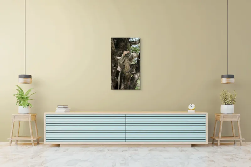 Tablou Canvas, "I don't know.", Maimuță, Copac, Ramificație, Frunze, Observare, Natură, Blană, Atmosferă, Echilibru, 50 x 90 cm – poza 6