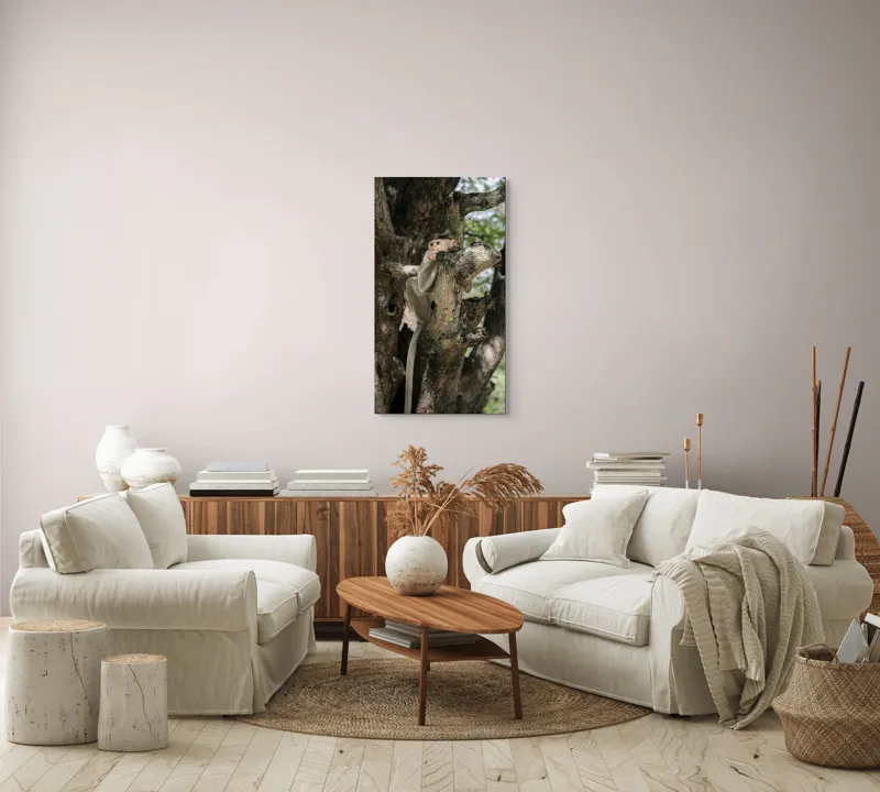 Tablou Canvas, "I don't know.", Maimuță, Copac, Ramificație, Frunze, Observare, Natură, Blană, Atmosferă, Echilibru, 50 x 90 cm – poza 7