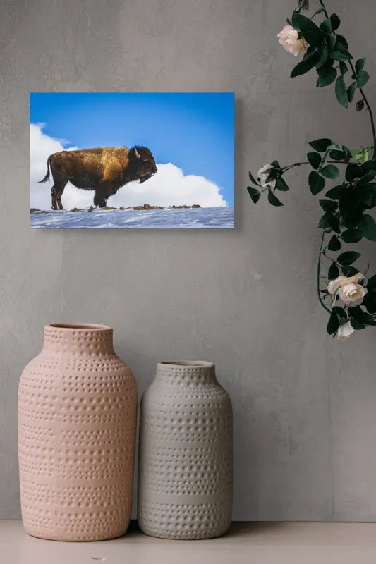 Tablou Canvas, "Bizonul pe culmile înzăpezite ale muntelui", Bizon, Zăpadă, Cer, Nor, Natură, Peisaj, Faună., 39 x 26 cm – poza 4