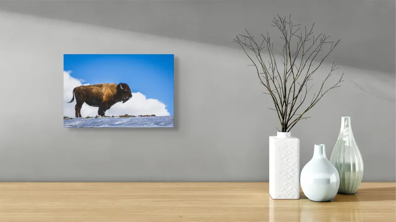 Tablou Canvas, "Bizonul pe culmile înzăpezite ale muntelui", Bizon, Zăpadă, Cer, Nor, Natură, Peisaj, Faună., 39 x 26 cm – poza 8