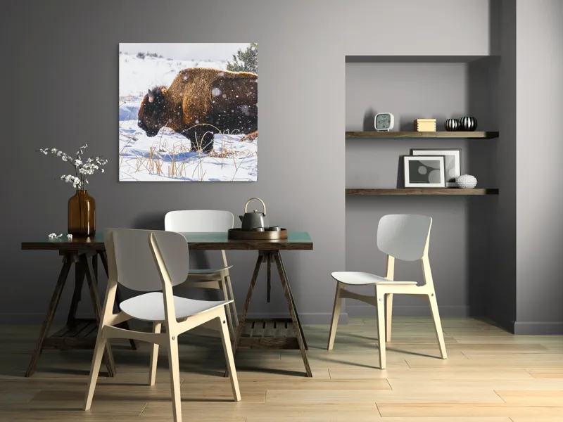 Tablou Canvas, "Bizon în peisaj de iarnă albă", Zăpadă, Bizon, Iarbă, Iarnă, Peisaj, Natura, Frig, Albul, Animal, Serenitate, 100 x 100 cm – poza 6