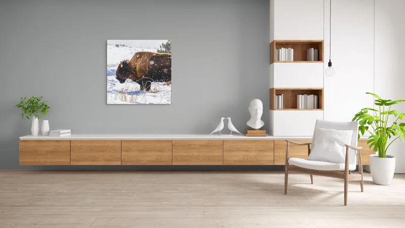 Tablou Canvas, "Bizon în peisaj de iarnă albă", Zăpadă, Bizon, Iarbă, Iarnă, Peisaj, Natura, Frig, Albul, Animal, Serenitate, 100 x 100 cm – poza 8