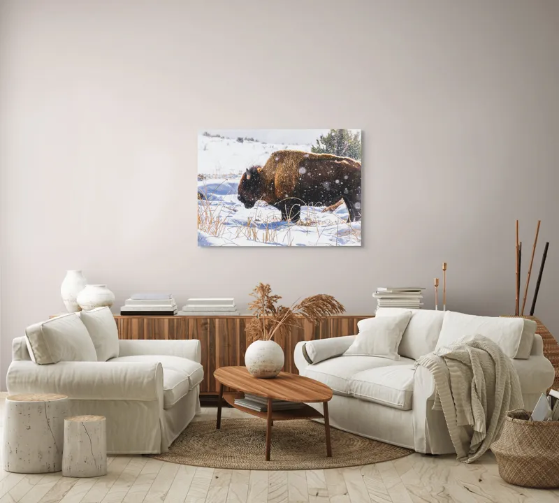 Tablou Canvas, "Bizon în peisaj de iarnă albă", Zăpadă, Bizon, Iarbă, Iarnă, Peisaj, Natura, Frig, Albul, Animal, Serenitate, 100 x 70 cm – poza 3