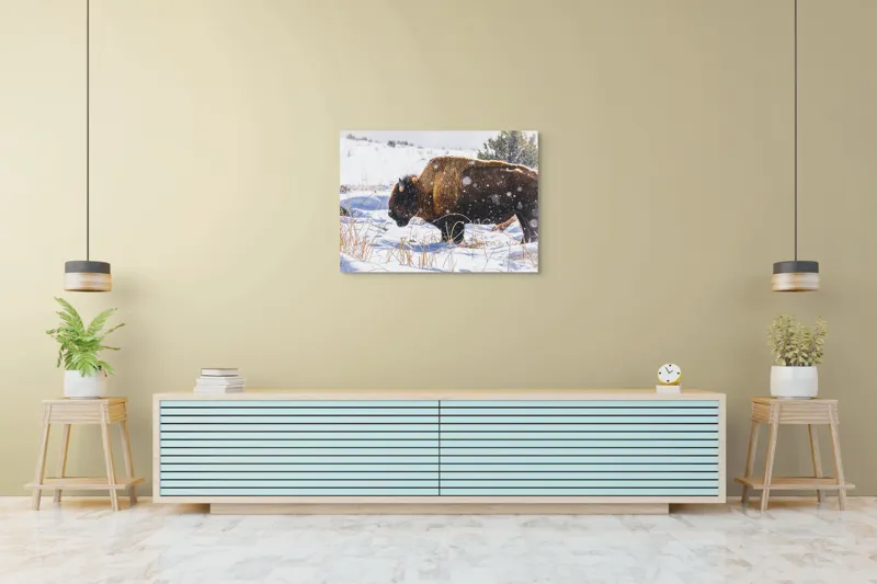 Tablou Canvas, "Bizon în peisaj de iarnă albă", Zăpadă, Bizon, Iarbă, Iarnă, Peisaj, Natura, Frig, Albul, Animal, Serenitate, 100 x 70 cm – poza 4