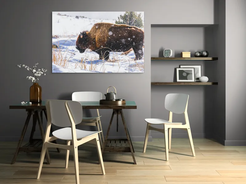 Tablou Canvas, "Bizon în peisaj de iarnă albă", Zăpadă, Bizon, Iarbă, Iarnă, Peisaj, Natura, Frig, Albul, Animal, Serenitate, 150 x 100 cm – poza 5