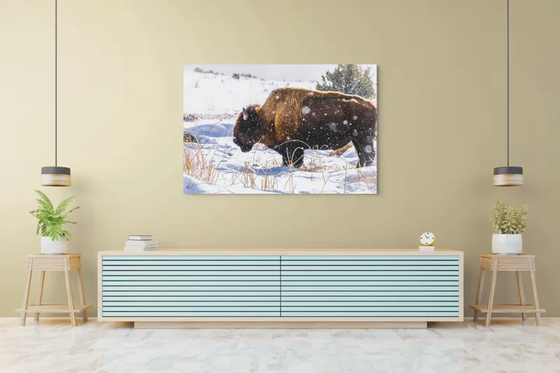 Tablou Canvas, "Bizon în peisaj de iarnă albă", Zăpadă, Bizon, Iarbă, Iarnă, Peisaj, Natura, Frig, Albul, Animal, Serenitate, 150 x 100 cm – poza 6