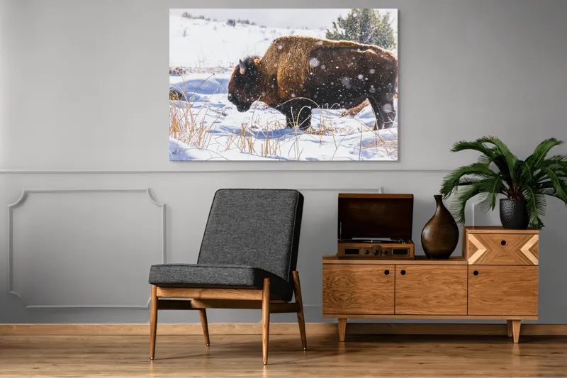 Tablou Canvas, "Bizon în peisaj de iarnă albă", Zăpadă, Bizon, Iarbă, Iarnă, Peisaj, Natura, Frig, Albul, Animal, Serenitate, 150 x 100 cm – poza 8