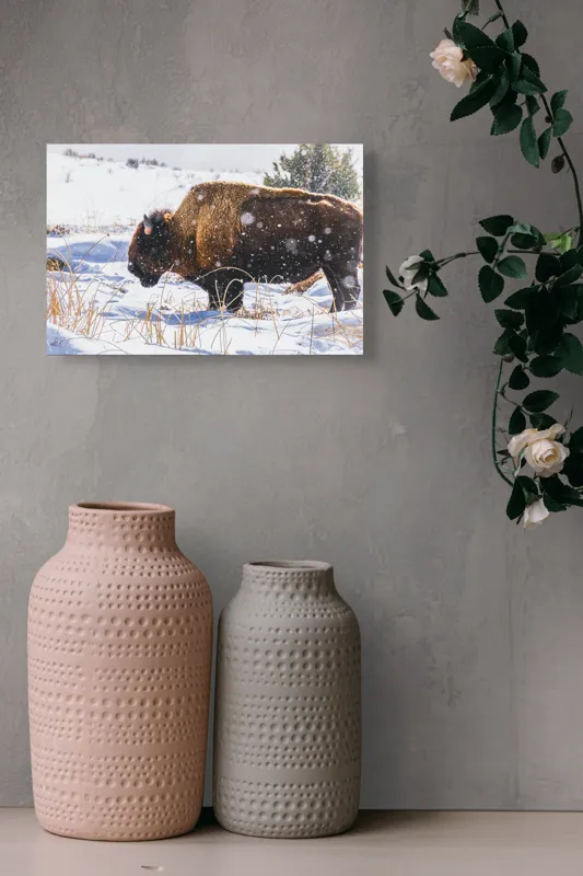 Tablou Canvas, "Bizon în peisaj de iarnă albă", Zăpadă, Bizon, Iarbă, Iarnă, Peisaj, Natura, Frig, Albul, Animal, Serenitate, 39 x 26 cm – poza 4