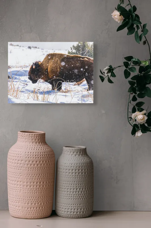 Tablou Canvas, "Bizon în peisaj de iarnă albă", Zăpadă, Bizon, Iarbă, Iarnă, Peisaj, Natura, Frig, Albul, Animal, Serenitate, 54 x 39 cm – poza 8